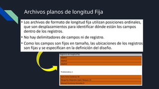 Archivos planos de longitud Fija
 
