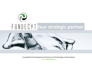Your strategic partner




Foundation for Development of Science and Technology in Extremadura
                        www.fundecyt.es
 