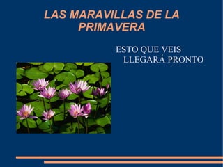LAS MARAVILLAS DE LA PRIMAVERA ,[object Object]