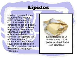 Lípidos Lípidos o grasas: forman sustancias de reserva, están formadas por la combinación de ácidos carboxílicos con el glicerol, por eso también se llaman triglicéridos. Pueden ser saturados, unidos por enlaces covalentes sencillos, por ejemplo las grasas animales, e insaturados, que pueden llevar enlaces dobles con sus átomos de carbono, un ejemplo son las grasas vegetales.  
