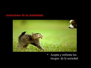 Actuaciones de la ciudadanía Acepta y enfrenta los riesgos de la sociedad