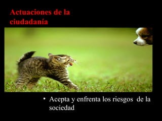 Actuaciones de la ciudadanía  Acepta y enfrenta los riesgos  de la sociedad 
