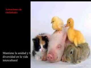 Actuaciones de ciudadania Mantiene la unidad y la diversidad en la vida intercultural 