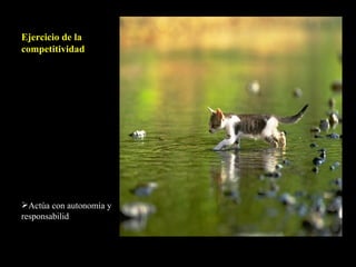 Ejercicio de la competitividad Actúa con autonomía y responsabilid 