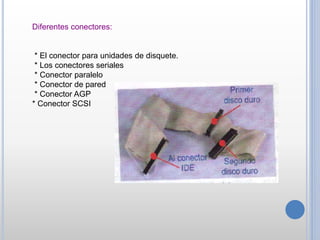Diferentes conectores:
* El conector para unidades de disquete.
* Los conectores seriales
* Conector paralelo
* Conector de pared
* Conector AGP
* Conector SCSI
 