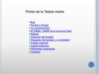 Bus
Socket o Zócalo
La memoria Ram
El SIMM y DIMM de la memoria Ram
Bateria
Conector del teclado
Disipador del teclado y el ventilador
Cables Internos
Cables Externos
Diferentes conectores
Jumpers
Partes de la Tarjeta madre
 