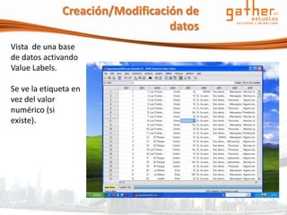 Creación/Modificación de
                                 datos
Vista de una base
de datos activando
Value Labels.

Se ve la etiqueta en
vez del valor
numérico (si
existe).
 