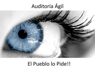 Auditoría Ágil
El Pueblo lo Pide!!
 