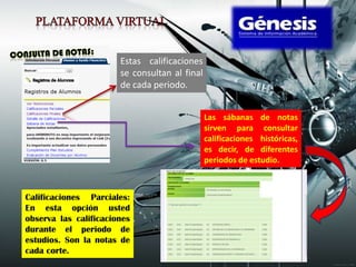 Estas calificaciones
                       se consultan al final
                       de cada periodo.


                                               Las sábanas de notas
                                               sirven para consultar
                                               calificaciones históricas,
                                               es decir, de diferentes
                                               periodos de estudio.



Calificaciones Parciales:
En esta opción usted
observa las calificaciones
durante el periodo de
estudios. Son la notas de
cada corte.
 