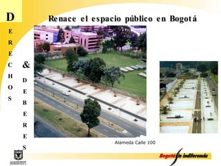 D E R E C H O S D E B E R E S & Alameda Calle 100 Renace el espacio público en Bogotá 