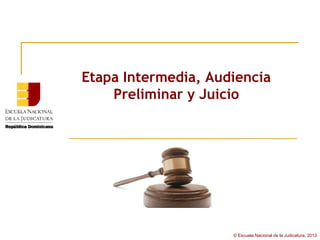 Etapa Intermedia, Audiencia
    Preliminar y Juicio




                     © Escuela Nacional de la Judicatura, 2013
 