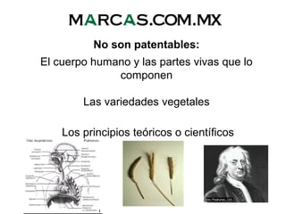 No son patentables:
El cuerpo humano y las partes vivas que lo
componen
Las variedades vegetales
Los principios teóricos o científicos
 