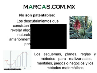 No son patentables:
Los descubrimientos que
consistan en dar a conocer o
revelar algo que ya existía en la
naturaleza, aun cuando
anteriormente fuese desconocido
para el hombre
Los esquemas, planes, reglas y
métodos para realizar actos
mentales, juegos o negocios y los
métodos matemáticos
 