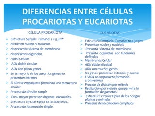 DIFERENCIAS ENTRE CÉLULAS
PROCARIOTAS Y EUCARIOTAS
CÉLULA PROCARIOTA
 Estructura Sencilla. Tamaño: 1 a 5 μm*
 No tienen núcleo ni nucleolo.
 No presenta sistema de membrana
 No presenta organelos
 Pared Celular
 ADN doble circular
 ADN con pocos genes
 En la mayoría de los casos los genes no
presentan intrones
 El ADN se empaqueta formando una estructura
circular
 Proceso de división simple
 En su mayor parte son órganos asexuados.
 Estructura circular típica de las bacterias.
 Proceso de locomoción simple
EUCARIOTAS
 Estructura Compleja. Tamaño: 10 a 30 μm
 Presentan núcleo y nucléolo
 Presenta sistema de membrana
 Presenta organelos con funciones
definidas
 Membranas Celular
 ADN doble elicoidal
 ADN con muchos genes
 los genes presentan intrones y exones
 El ADN se empaqueta formando
cromosomas
 Proceso de división por mitosis
 Realización por meiosis que permite la
formación de gametos.
 Estructura circular típica de los hongos
plantas y animales
 Procesos de locomoción complejos
 