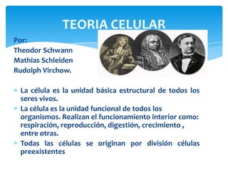 TEORIA CELULAR
Por:
Theodor Schwann
Mathias Schleiden
Rudolph Virchow.
La célula es la unidad básica estructural de todos los
seres vivos.
La célula es la unidad funcional de todos los
organismos. Realizan el funcionamiento interior como:
respiración, reproducción, digestión, crecimiento ,
entre otras.
Todas las células se originan por división células
preexistentes
 