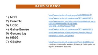1) NCBI
2) Ensembl
3) UCSC
4) Gallus-Browse
5) Genome jpg
6) KEGG
7) GEISHA
BASES DE DATOS
http://www.ncbi.nlm.nih.gov/nuccore/AADN00000000.3/
http://www.ncbi.nlm.nih.gov/assembly/GCF_000002315.3/
http://www.ensembl.org/Gallus_gallus/Info/Index?db=core;g=
ENSGALG00000009698;r=1:30879382-
30903892;t=ENSGALT00000015787
http://www.ncbi.nlm.nih.gov/assembly/GCF_000002315.3/
http://www.genome.jp/kegg-bin/show_organism?org=gga
http://geisha.arizona.edu/geisha/
http://www.ncbi.nlm.nih.gov/genome/?term=txid9031[orgn]
Este link contiene todas las bases de datos de Gallus gallus en
la parte de External resources
 