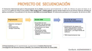 GenBank: AADN00000000.3
El Consorcio Internacional para la Secuenciación de la Gallina secuenció aproximadamente un millón de millones de pares de bases en el
genoma de la gallina se utilizó la raza asiática "Red Jungle Fowl" ( Gallus gallus), especie salvaje asiática de la que derivan todas las variantes de
gallinas domésticas. Fue publicado el 9 de diciembre del 2004 en la revista Nature. 49 instituciones participaron en el proyecto. Se terminó en 2006
El financiamiento para la caracterización lo proporcionó el Instituto Nacional de
Investigación del Genoma Humano (NHGRI) y los Institutos Nacionales de Salud (NIH)
Originalmente
• Genome coverage of
6,6X
• Whole-genome
shotgun assembly
Versión 2006
• Ensamble de novo
derivado y las secuencias
recién generados por 454
• Previamente con reads
de Sanger
• Secuencias recién
generadas por 454.
utilizando el ensamblador
CABOG
Con el fin de crear
secuencias cromosomicas
• Combinación de mapas con
WGS:mapa genético consenso,
mapa genético East Lansing,
mapa físico, y el mapa híbrido de
radiación
• *BAC-based physical map
 