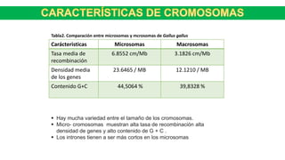  Hay mucha variedad entre el tamaño de los cromosomas.
 Micro- cromosomas muestran alta tasa de recombinación alta
densidad de genes y alto contenido de G + C .
 Los intrones tienen a ser más cortos en los microsomas
Carácteristicas Microsomas Macrosomas
Tasa media de
recombinación
6.8552 cm/Mb 3.1826 cm/Mb
Densidad media
de los genes
23.6465 / MB 12.1210 / MB
Contenido G+C 44,5064 % 39,8328 %
Tabla2. Comparación entre microsomas y mcrosomas de Gallus gallus
 