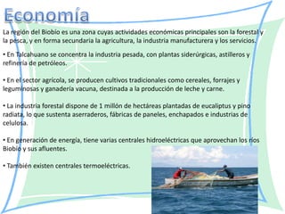 La región del Biobío es una zona cuyas actividades económicas principales son la forestal y
la pesca, y en forma secundaria la agricultura, la industria manufacturera y los servicios.
• En Talcahuano se concentra la industria pesada, con plantas siderúrgicas, astilleros y
refinería de petróleos.

• En el sector agrícola, se producen cultivos tradicionales como cereales, forrajes y
leguminosas y ganadería vacuna, destinada a la producción de leche y carne.

• La industria forestal dispone de 1 millón de hectáreas plantadas de eucaliptus y pino
radiata, lo que sustenta aserraderos, fábricas de paneles, enchapados e industrias de
celulosa.

• En generación de energía, tiene varias centrales hidroeléctricas que aprovechan los ríos
Biobío y sus afluentes.

• También existen centrales termoeléctricas.
 
