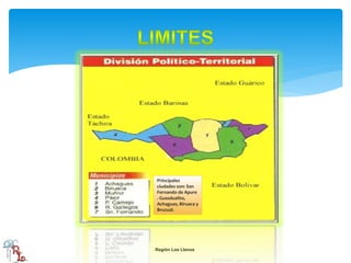 Región Los Llanos
Principales
ciudades son: San
Fernando de Apure
. Guasdualito,
Achaguas, Biruaca y
Bruzual.
 