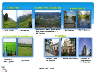 Pie de monte Llanos altos
temperatura Media Anual (Max-
Min) se encuentra entre 22° y
26º Celsius
Río Guanare Río Portuguesa
Siembra de
maíz y girasol
Agricultura
Santuario de
nuestra señora
de Coromoto
Catedral de GuanareAntigua cárcel
de Guanare
 