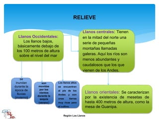 Llanos Occidentales:
Los llanos bajos,
básicamente debajo de
los 100 metros de altura
sobre el nivel del mar
Llanos centrales: Tienen
en la mitad del norte una
serie de pequeñas
montañas llamadas
galeras. Aquí los ríos son
menos abundantes y
caudalosos que los que
vienen de los Andes.
Llanos orientales: Se caracterizan
por la existencia de mesetas de
hasta 400 metros de altura, como la
mesa de Guanipa.
se
inundan
durante la
época de
lluvias
(invierno)
son
movidas
por los
vientos
durante la
sequía
(verano)
Los llanos altos
se encuentran
al pie de los
Andes y son
unas tierras
muy ricas para
el cultivo.
RELIEVE
Región Los Llanos
 