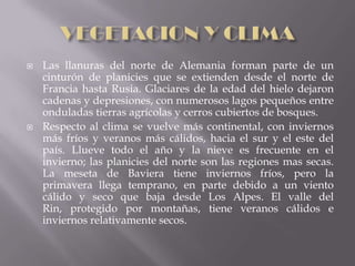    Las llanuras del norte de Alemania forman parte de un
    cinturón de planicies que se extienden desde el norte de
    Francia hasta Rusia. Glaciares de la edad del hielo dejaron
    cadenas y depresiones, con numerosos lagos pequeños entre
    onduladas tierras agrícolas y cerros cubiertos de bosques.
   Respecto al clima se vuelve más continental, con inviernos
    más fríos y veranos más cálidos, hacia el sur y el este del
    país. Llueve todo el año y la nieve es frecuente en el
    invierno; las planicies del norte son las regiones mas secas.
    La meseta de Baviera tiene inviernos fríos, pero la
    primavera llega temprano, en parte debido a un viento
    cálido y seco que baja desde Los Alpes. El valle del
    Rin, protegido por montañas, tiene veranos cálidos e
    inviernos relativamente secos.
 