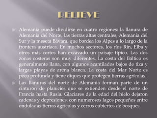   Alemania puede dividirse en cuatro regiones: la llanura de
    Alemania del Norte, las tierras altas centrales, Alemania del
    Sur y la meseta Bávara, que bordea los Alpes a lo largo de la
    frontera austriaca. En muchos sectores, los ríos Rin, Elba y
    otros más cortos han excavado un paisaje típico. Las dos
    zonas costeras son muy diferentes. La costa del Báltico es
    generalmente llana, con algunos acantilados bajos de tiza y
    largas playas de arena blanca. La costa del Mar Norte es
    poco profunda y tiene diques que protegen tierras agrícolas.
   Las llanuras del norte de Alemania forman parte de un
    cinturón de planicies que se extienden desde el norte de
    Francia hasta Rusia. Glaciares de la edad del hielo dejaron
    cadenas y depresiones, con numerosos lagos pequeños entre
    onduladas tierras agrícolas y cerros cubiertos de bosques.
 