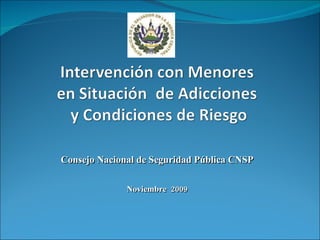 Consejo Nacional de Seguridad Pública CNSP Noviembre  2009 