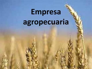 Empresa
agropecuaria
 