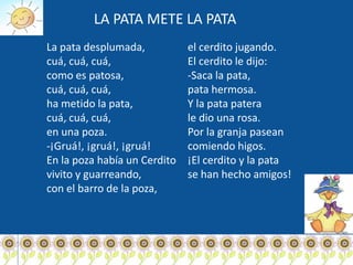 LA PATA METE LA PATA
La pata desplumada,           el cerdito jugando.
cuá, cuá, cuá,                El cerdito le dijo:
como es patosa,               -Saca la pata,
cuá, cuá, cuá,                pata hermosa.
ha metido la pata,            Y la pata patera
cuá, cuá, cuá,
    .                         le dio una rosa.
en una poza.                  Por la granja pasean
-¡Gruá!, ¡gruá!, ¡gruá!       comiendo higos.
En la poza había un Cerdito   ¡El cerdito y la pata
vivito y guarreando,          se han hecho amigos!
con el barro de la poza,
 
