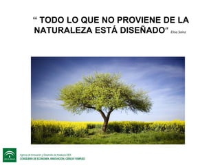 “ TODO LO QUE NO PROVIENE DE LA
NATURALEZA ESTÁ DISEÑADO” Elisa Sainz

 
