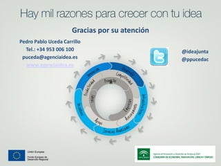 Gracias por su atención
Pedro Pablo Uceda Carrillo
Tel.: +34 953 006 100
puceda@agenciaidea.es
www.agenciaidea.es

@ideajunta
@ppucedac

ﾺ

 