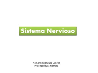 Sistema Nervioso
Nombre: Rodríguez Gabriel
Prof. Rodríguez Xiomara
 