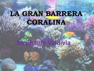 LA GRAN BARRERA 
CORALINA 
Stephanie Valdivia 
 