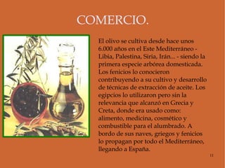 MAPA DE LAS COLONIZACIONES.  