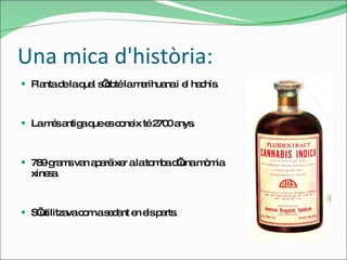 Una mica d'història: Planta de la qual s’obté la marihuana i el hachís. La més antiga que es coneix té 2700 anys.  789 grams van aparèixer a la tomba d’una mòmia xinesa. S’utilitzava com a sedant en els parts.  
