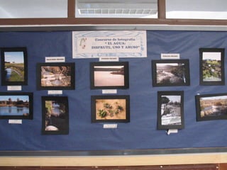 Concurso fotográfico
 