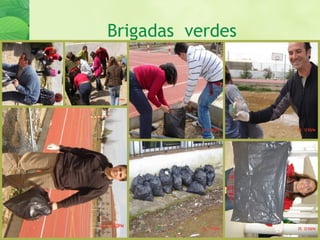Brigadas verdes
 