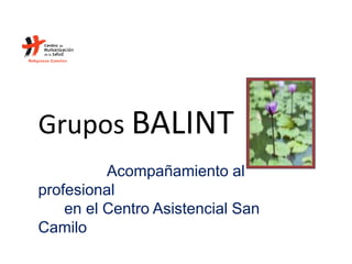 Acompañamiento al
profesional
en el Centro Asistencial San
Camilo
Grupos BALINT
 
