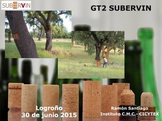 GT2 SUBERVIN
Ramón Santiago
Instituto C.M.C.- CICYTEX
Logroño
30 de junio 2015
 