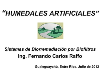 “HUMEDALES ARTIFICIALES”



Sistemas de Biorremediación por Biofiltros
      Ing. Fernando Carlos Raffo
              Gualeguaychú, Entre Ríos. Julio de 2012
 