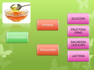 Carbohidratos:
Simples
GLUCOSA
FRUCTOSA
(Miel)
Disacaridos
SACAROSA
(AZUCAR)
LACTOSA
 