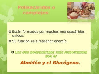  Están formados por muchos monosacáridos
unidos.
 Su función es almacenar energía.
 