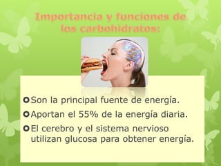 Son la principal fuente de energía.
Aportan el 55% de la energía diaria.
El cerebro y el sistema nervioso
utilizan glucosa para obtener energía.
 