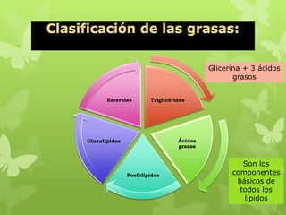 Triglicéridos
Ácidos
grasos
Fosfolípidos
Glucolípidos
Esteroles
Glicerina + 3 ácidos
grasos
Son los
componentes
básicos de
todos los
lípidos
 