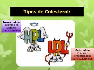 Insaturados:
Protejen el
Sistema
Cardiovascular
Saturados:
Provocan
enfermedades
cardiovasculares
 