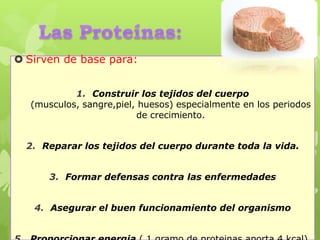  Sirven de base para:
1. Construir los tejidos del cuerpo
(musculos, sangre,piel, huesos) especialmente en los periodos
de crecimiento.
2. Reparar los tejidos del cuerpo durante toda la vida.
3. Formar defensas contra las enfermedades
4. Asegurar el buen funcionamiento del organismo
 