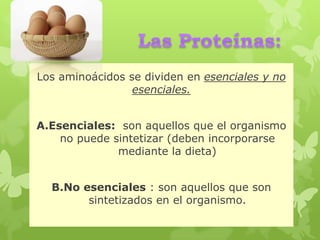 Los aminoácidos se dividen en esenciales y no
esenciales.
A.Esenciales: son aquellos que el organismo
no puede sintetizar (deben incorporarse
mediante la dieta)
B.No esenciales : son aquellos que son
sintetizados en el organismo.
 
