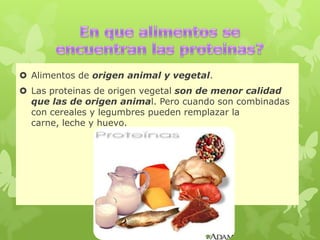  Alimentos de origen animal y vegetal.
 Las proteinas de origen vegetal son de menor calidad
que las de origen animal. Pero cuando son combinadas
con cereales y legumbres pueden remplazar la
carne, leche y huevo.
 